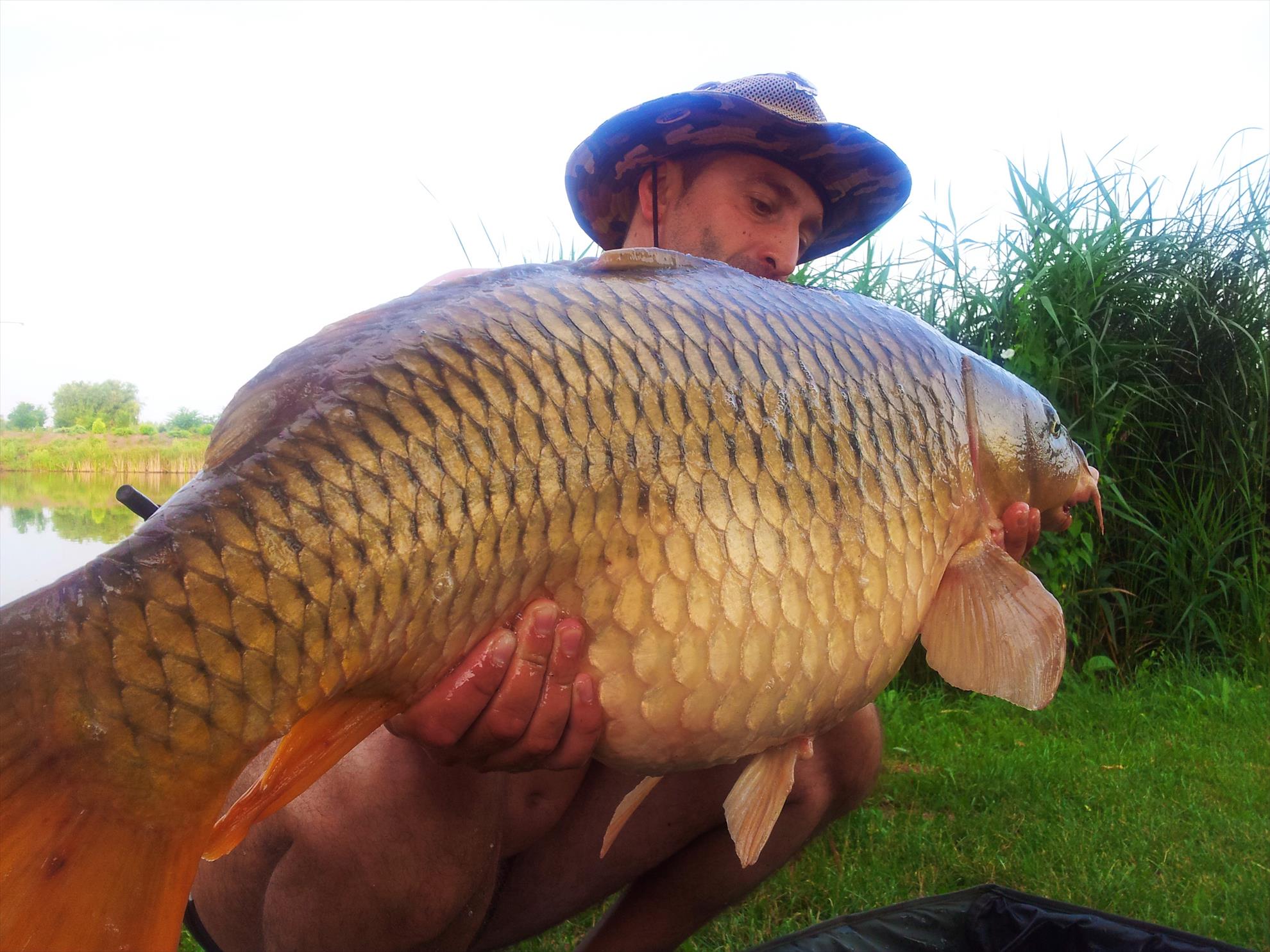 Pe maluri de ape - 20120707074240.jpg